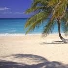 Picture for song 'Ocean Front (SOLD)' by artist 'MoMurdaBeatz'