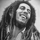 Picture for song '::New:: Chill Roots Reggae :: Bob Marley' by artist 'Mooz Beatz'