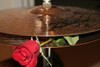 Picture for song 'My Virtuoso' by artist 'Mossdog'
