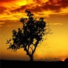 Picture for song 'cold world' by artist 'moxid'