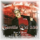 Picture for song 'I AM A GANGSTA IDIOT' by artist 'MR CASPER'