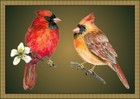 Picture for song 'Tears don't lie.' by artist 'Ms Cindy'
