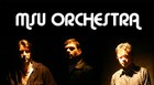 Picture for song 'Hey You LIVE' by artist 'MSU Orchestra'