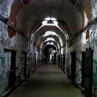 Picture for song 'State Penn' by artist 'Muckabe'