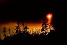 Picture for song 'Forest Sunset' by artist 'Mystery Muse'