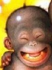 Picture for song 'See U Smile (Dean G & DK)' by artist 'N-E Meanz'