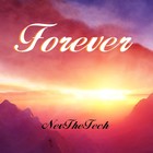 Picture for song 'Forever' by artist 'NevTheTech'