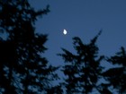 Picture for song 'Moon Walk' by artist 'New Jazz Movement'