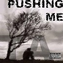Picture for song 'Pushing Me' by artist 'Nicky B (UK)'