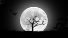 Picture for song 'Night Silhouette - Dark Dimension' by artist 'Night Silhouette'