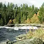 Picture for song 'August Colours' by artist 'Nils-Ole Finbak'