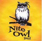 Picture for song 'Ain't Talkin Bout Love' by artist 'Nite Owl'