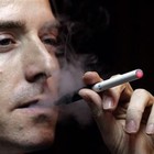 Picture for song 'Fish' by artist 'Normal Heights'