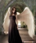Picture for song 'Angel' by artist 'No tengo idea (ARG)'