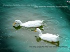 Picture for song 'Study Blues' by artist 'nTh deGRee(India)'