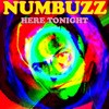 Picture for song 'Here Tonight' by artist 'Numbuzz'