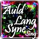 Picture for song 'Auld Lang Syne (sing)' by artist 'Numi Who Creative Covers'