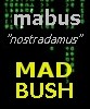 Picture for song 'B.U.S.H' by artist 'NXS'
