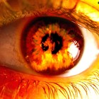 Picture for song 'Leh ft.Mc-Karem' by artist 'Omar Osman'