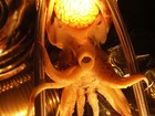 Picture for song 'Hymn of the Overmind' by artist 'One Less Light'
