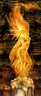 Picture for song 'IF Rare Duet 98' by artist 'Onesfear'