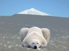 Picture for song 'nieve en el teide' by artist 'opacos'