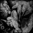 Picture for song '04 Arthropod.mp3' by artist 'oxyde noir'