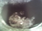 Picture for song 'PacT - My Baby (Beginning)' by artist 'PacT'