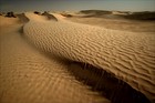Picture for song 'kicksand' by artist 'palm of ice'