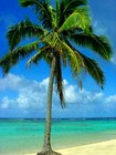 Picture for song 'Florida Keys' by artist 'Paul Kelner'