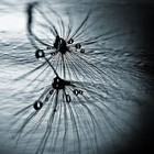 Picture for song 'You Don't Know' by artist 'Paul Mcilwaine'