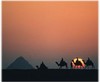 Picture for song 'The Last Pharaoh' by artist 'Paul Oakley'