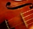 Picture for song '3000 Strings Version 2' by artist 'Pedestrial'
