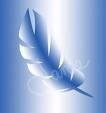 Picture for song 'A feather in the wind' by artist 'Percussion Discussion Records'