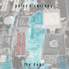 Picture for song 'The Door.Com' by artist 'Peter X Anthony'
