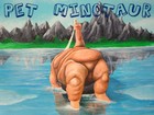 Picture for song 'Velvet Carrot Pt. 1' by artist 'Pet Minotaur'