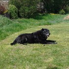 Picture for song 'One Year On' by artist 'Philip Taylor'