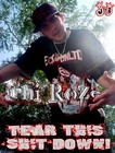 Picture for song 'Tear This sh*** Down' by artist 'Phi-Roze(505)'