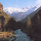 Picture for song 'the Valley of Pain (1997)' by artist 'Pim van der Steen muziek'