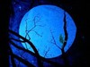 Picture for song 'Moonlight Walk' by artist 'PJ Sky'