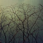 Picture for song 'r34chin'' by artist 'planet Beyond'