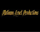 Picture for song 'Platinum Beat #15' by artist 'Platinum Level Entertainment'