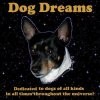 Picture for song 'Old Dog's Dream' by artist 'PolyAxis'