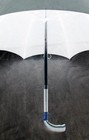 Picture for song 'All I Know' by artist 'Post Umbrella Gang'