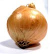 Picture for song 'Onions' by artist 'Potato Hermits'