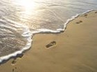 Picture for song 'Footprints in the Sand' by artist 'Prairie Breeze'