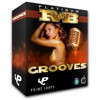Picture for song 'Platinum R&B Grooves' by artist 'Prime Loops'