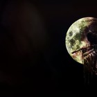 Picture for song 'Dj Grim - Moon Man' by artist 'Prod. By Dj Grim'