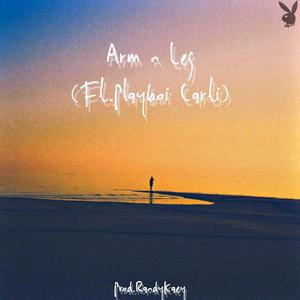 Picture for song 'Arm n Leg (Instrumental)' by artist 'Prod.RandyKaey'