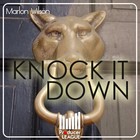 Picture for song 'Knock It Down (by Marlon Wilson)' by artist 'Producer League'